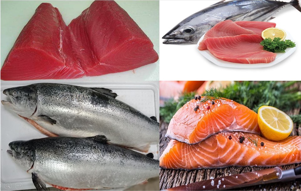 Lợi ích dinh dưỡng tuyệt vời của các loại "cá béo"