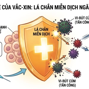 Bản đồ tiêm chủng mùa Thu – Đông: 3 loại vắc-xin quan trọng cần bổ sung ngay trong tháng 10